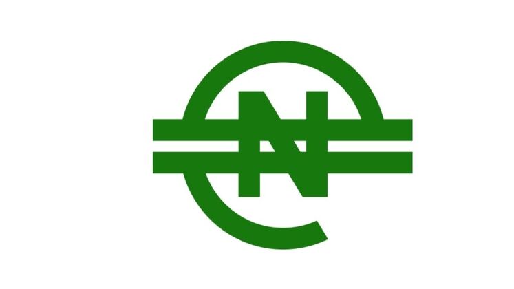 eNaira logo